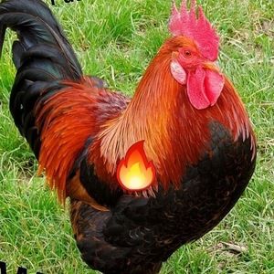 Meet your Posher, Fernando